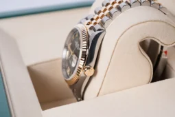 Rolex Datejust 36 126233vi