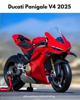 2025 Ducati V4 Panagale