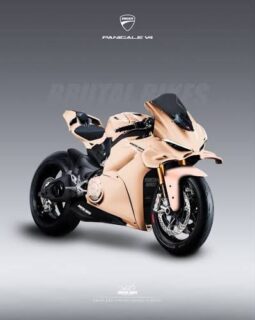 2025 Ducati V4 Panagale